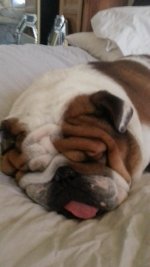 20121231_121735.jpg 20121231_121735.jpg