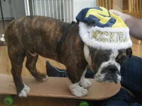 holiday 031.webp