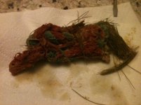 Injested Rope Toy.jpg Injested Rope Toy.jpg