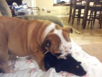 20130123_191101.jpg 20130123_191101.jpg