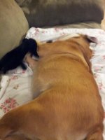 20130123_191615.jpg 20130123_191615.jpg