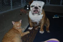 Winston's 2nd Birthday 003.webp