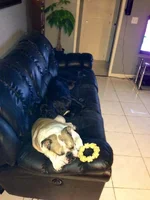 photo copy.webp
