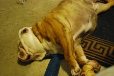 Winston's 2nd Birthday 010.webp