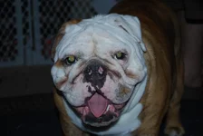 Winston's 2nd Birthday 014.webp