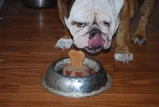 Winston's 2nd Birthday 229.webp