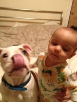 .facebook_419052364.jpg