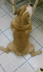 IMAG0560.webp