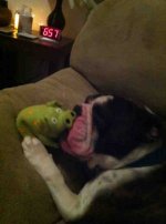 ImageUploadedByTapatalk1359165294.016262.jpg ImageUploadedByTapatalk1359165294.016262.jpg