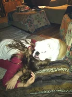 photo-43.webp