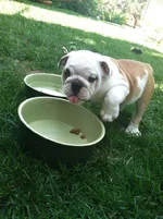 photo-19.webp