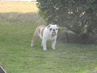 DSCN1974.webp