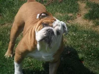 SAM_0107.webp