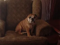 Winston1.webp