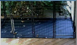 Capture.webp