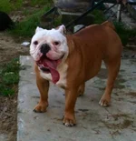 photo(2).webp