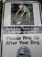 dog sign - close up.jpg