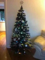 ImageUploadedByTapatalk1353574260.360610.webp