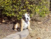 2013-03-10_Harper2.webp