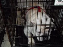 100_1021.webp