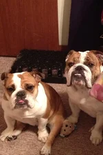 Karly n Nigel Nov 2012.webp