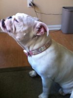 IMG_2879.jpg IMG_2879.jpg