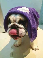 ImageUploadedByTapatalk1359445587.755166.webp