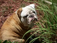 Spring 2011 023.webp