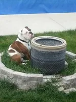 20130428_165319.webp