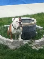 20130428_165324.webp
