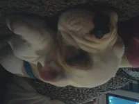 20120910_210848.webp