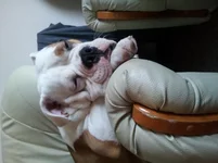 20130126_100514.webp