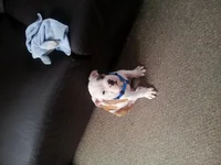 20120915_130031.webp