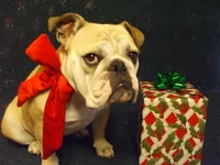 DSCF5524.webp