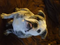 DSCF5394.webp