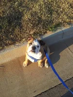 20130311_185618.webp