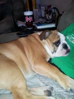 20130316_173535.webp