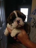 IMG_0200.jpg IMG_0200.jpg