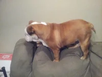 20130314_203736.webp