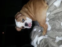 20130312_204005.webp