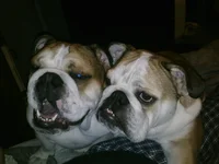 Jan28Phone 045.webp