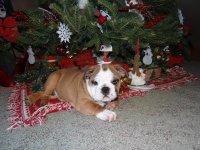 nate 005.jpg nate 005.jpg