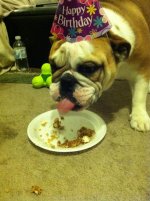 IMG_4802.jpg IMG_4802.jpg