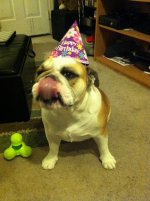 IMG_4820.jpg IMG_4820.jpg