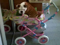 IMG00369-20120210-0812.webp