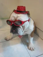 new years eve 007.webp