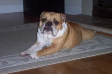 101_1690.webp