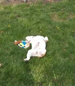 05 06 13 Spring.webp
