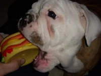Winston 079.webp