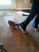 2012120295135233.webp